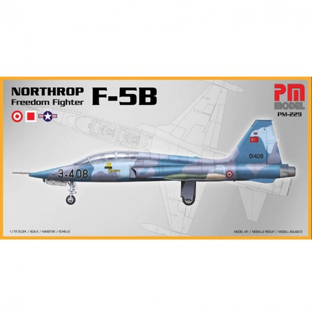 PM Model Northrop F-5B 1:72 Maket